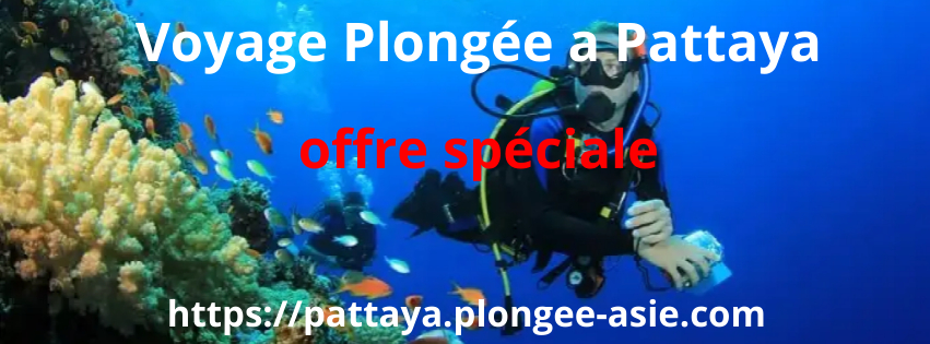 Voyage Plongée a Pattaya. Voyage Plongée a Pattaya